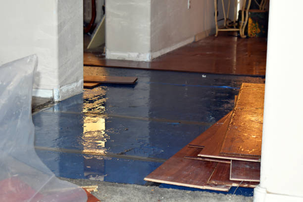 Professional Basement Flood Cleanup technician working in Rayland, OH